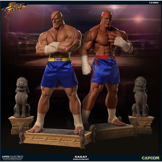 Street Fighter: Street Fighter Statues 1/3 Sagat PCS Exclusive Evolution Set 93 cm