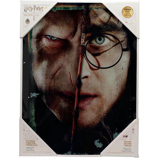 Harry Potter: Harry & Voldemort Indrammet Plakat