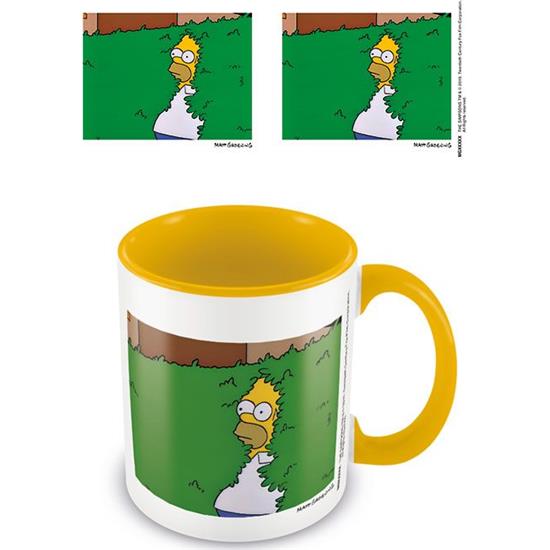 Simpsons: Homer in Bush Kurs
