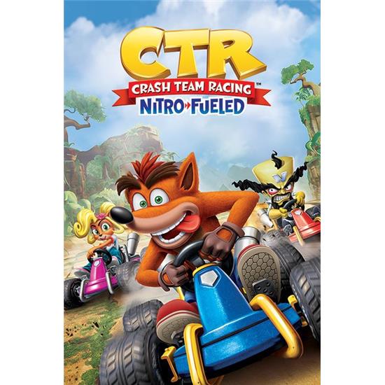 Crash Bandicoot: Crash Team Racing Nitro Race Plakat