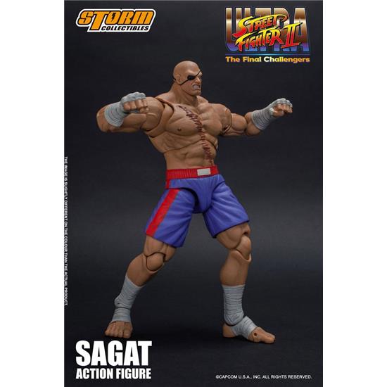 Street Fighter: Sagat Action Figure 1/12 19 cm