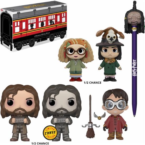 Harry Potter: Hogwarts Express Exclusive POP! Collector Box