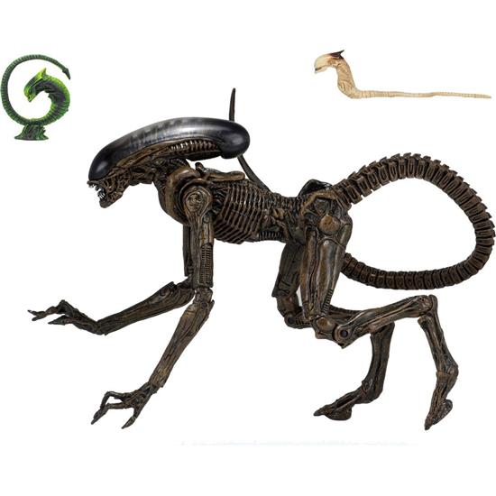 Alien: Ultimate Dog Alien Action Figure 23 cm