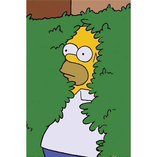 Simpsons: Homer Busk Plakat