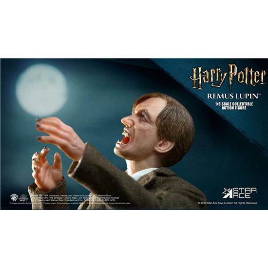 Harry Potter: Remus Lupin Deluxe Ver. My Favourite Movie Action Figure 1/6 30 cm