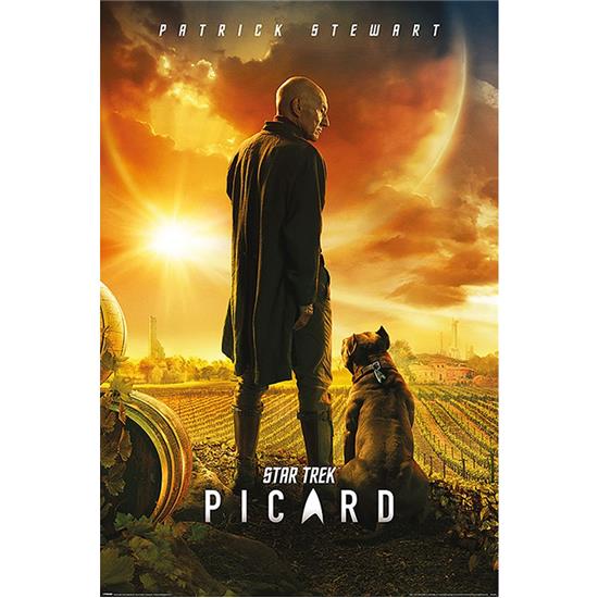 Star Trek: Picard Number One Plakat
