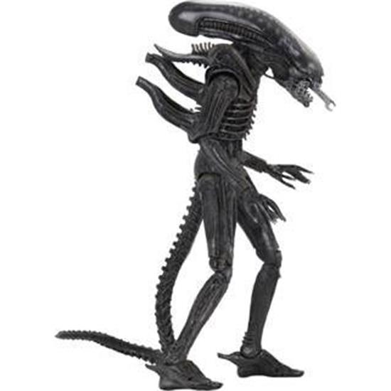Alien: Xenomorph (Regular) Action Figure 18 cm 40th Anniversary