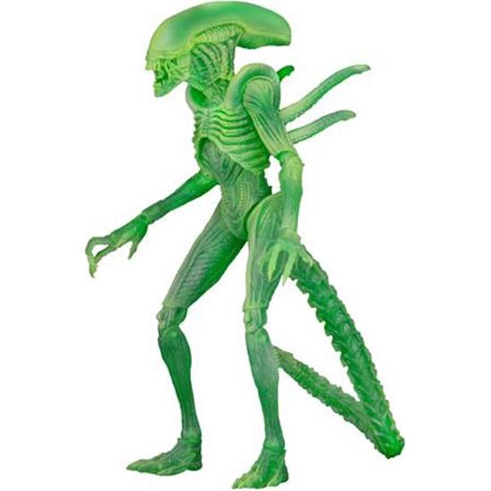 Predator: AVP Alien Warrior Thermal Vision (Glow in the Dark) Action Figur