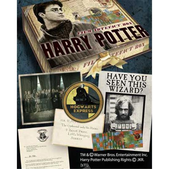 Harry Potter: Harry Potter Artefact Box