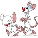 Pinky and the Brain Merchandise